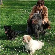 Lezioni propedeutiche di Educazione cinofila e consulenze di Fiori di Bach per animali